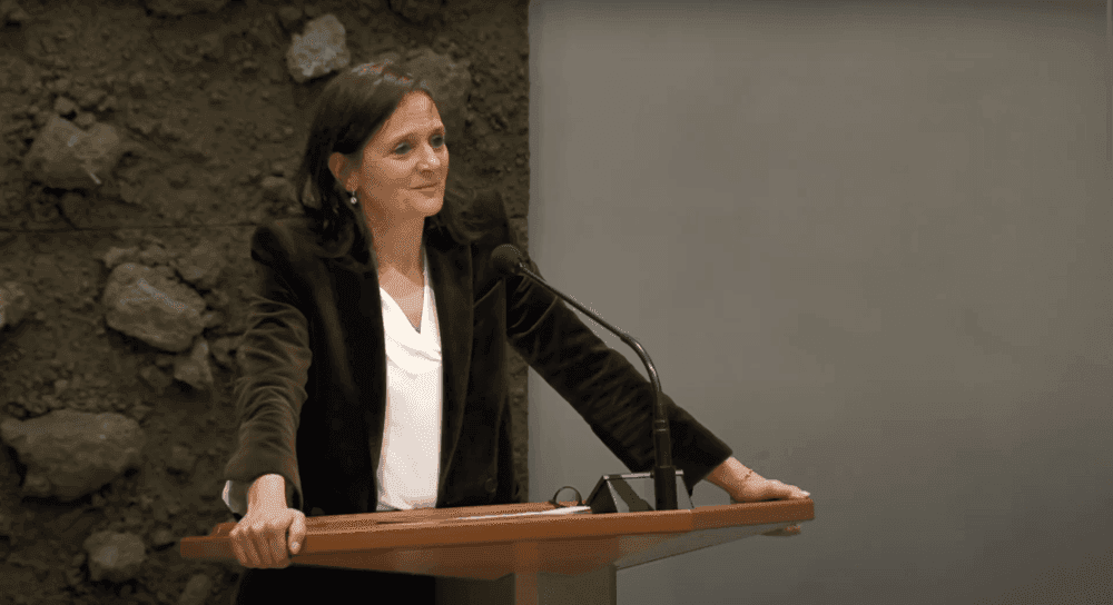 Nicolien van Vroonhoven spreekt in 2e kamer