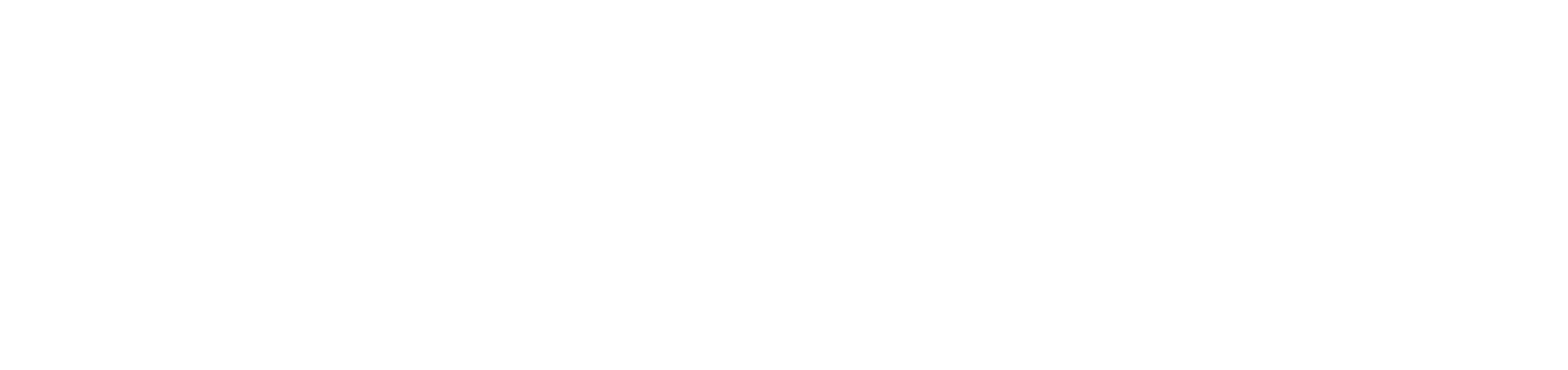 Stem NSC